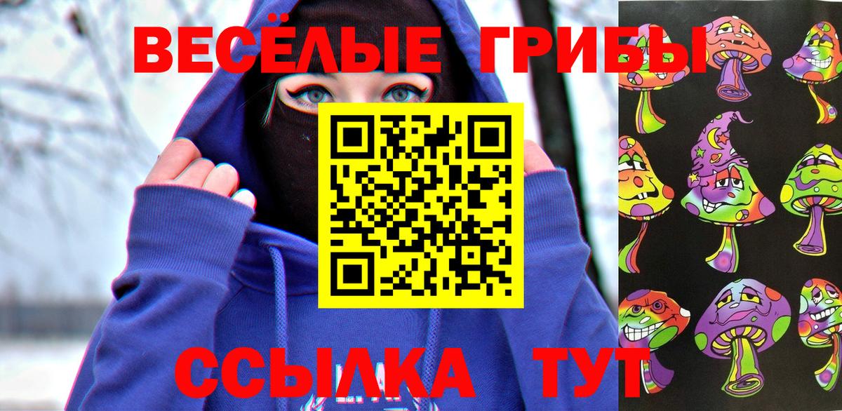 Алатырь  Галлюциногенные грибы Psilocybe  Вход с VPN  Псилоцибиновые грибы Magic Shrooms 